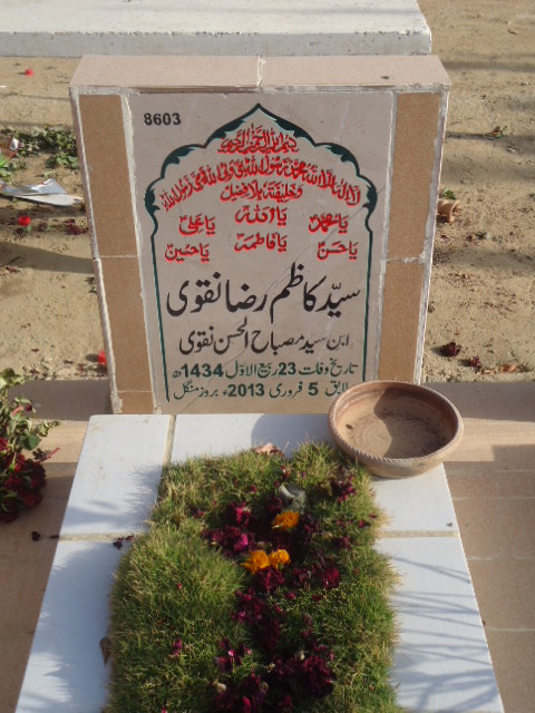 8603 – Syed Kazim Raza Naqvi