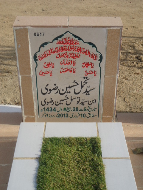 8617 – Syed Tahamul Hussain Rizvi