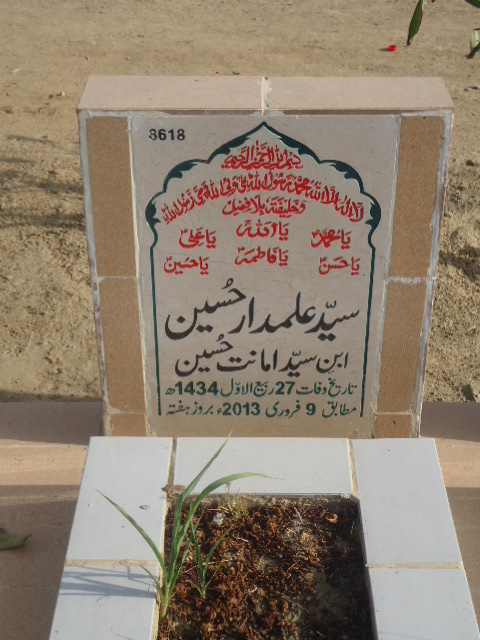 8618 – Syed Alamdar Hussain