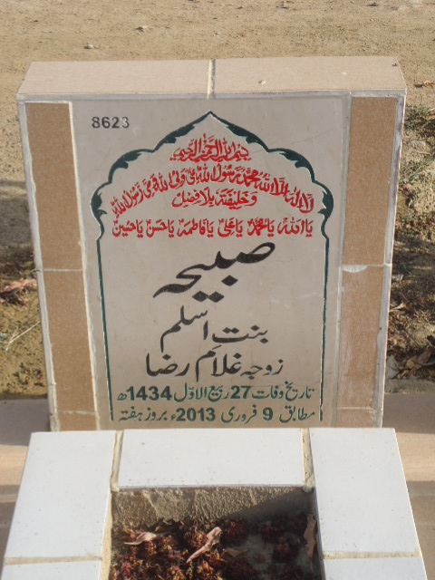 8623 – Sabiha