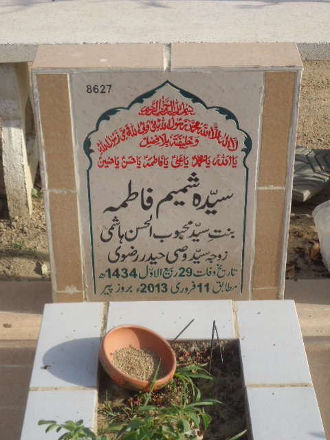 8627 – Syeda Shamim Fatima