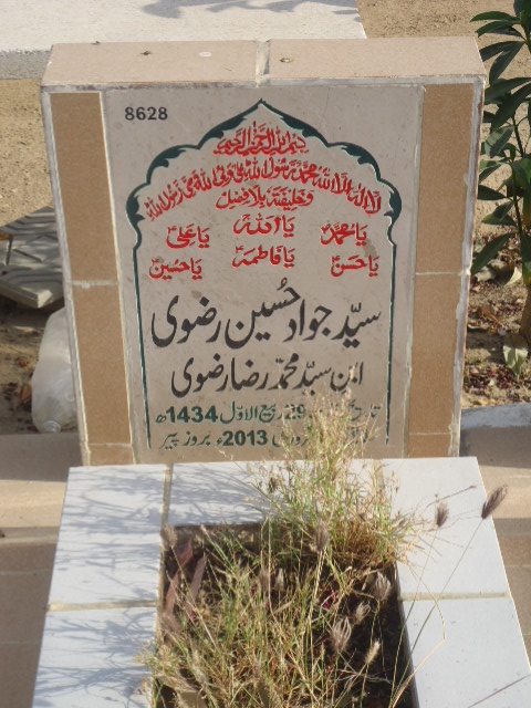8628 – Syed Jawwad Hussain Rizvi