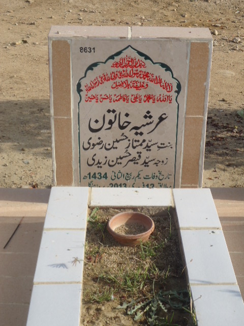 8631 – Arshia Khatoon