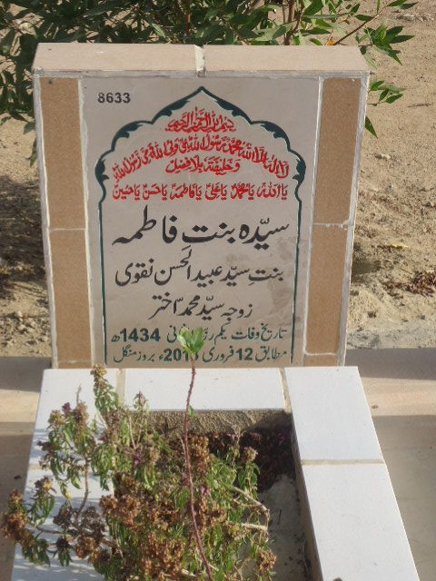 8633 – Syeda Bintay Fatima