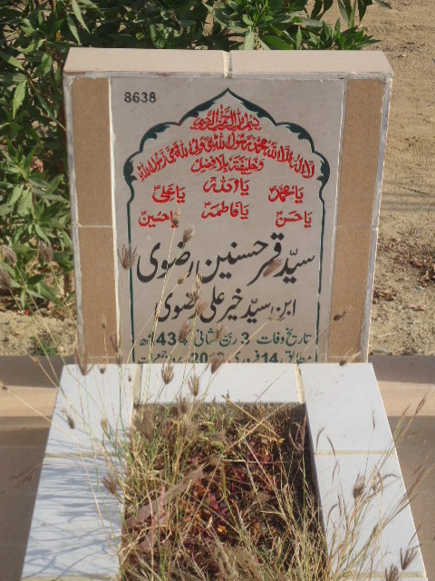 8638 – Syed Qamar Hasnain Rizvi