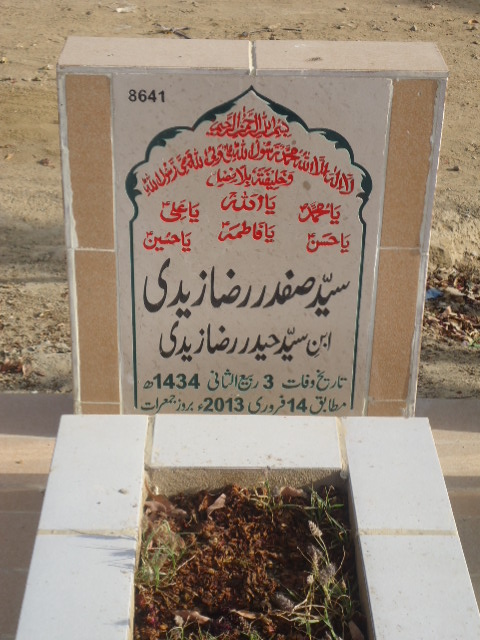 8641 – Syed Safdar Raza Zaidi