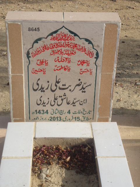 8645 – Syed Zarbat Ali Zaidi