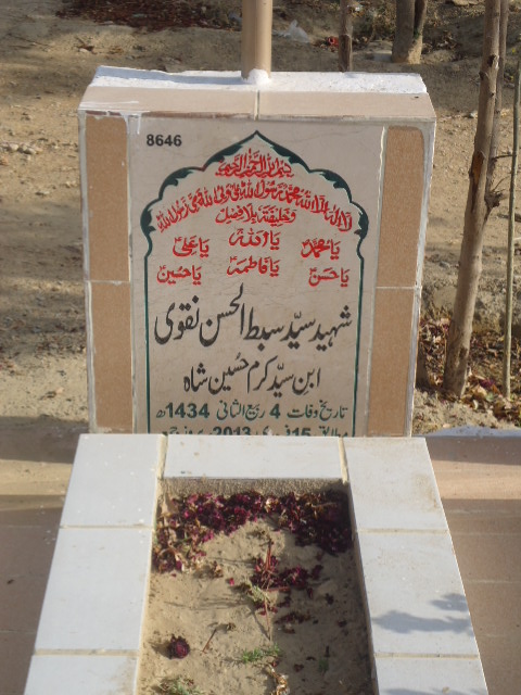 8646 – Shaheed Syed Sibt Ul Hasan Taqvi