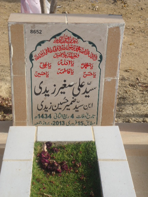 8652 – Syed Ali Sagheer Zaidi