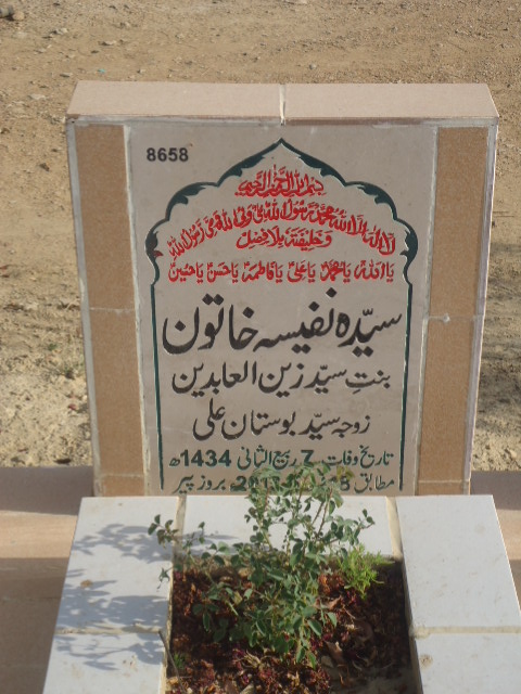 8658 – Syeda Nafeesa Khatoon