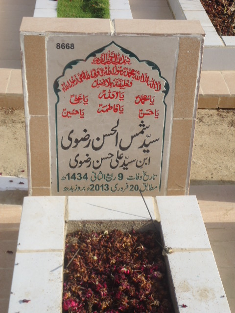 8668 – Syed Shams Ul Hasan Rizvi