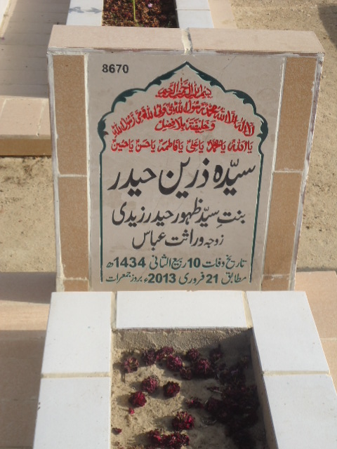 8670 – Syeda Zareen Haider