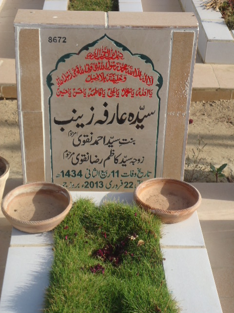 8672 – Syeda Arfaa Zainab Naqvi