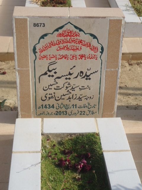 8673 – Syeda Raisa Begum