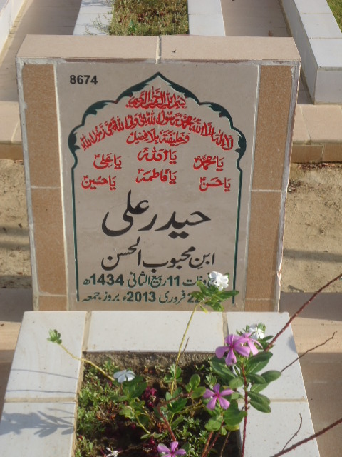 8674 – Haider Ali