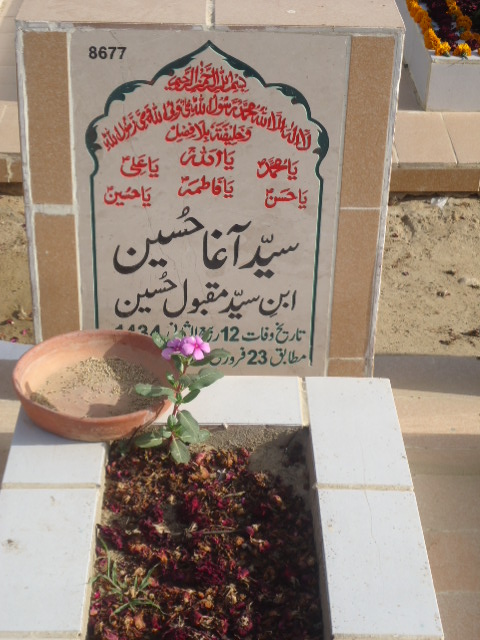 8677 – Syed Agha Hussain