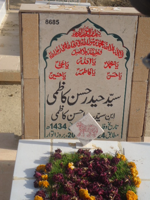 8685 – Syed Haider Hasan Kazmi