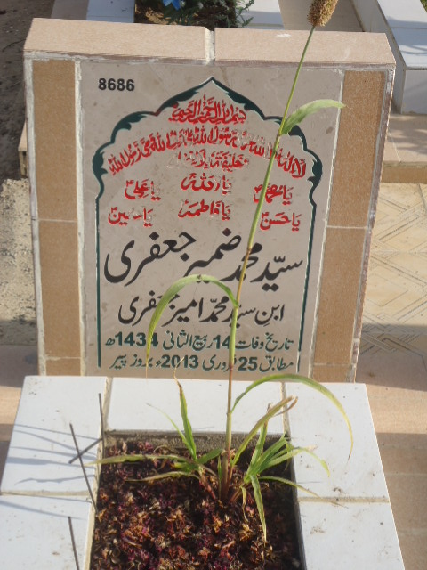 8686 – Syed Mohd Zameer Jaffery