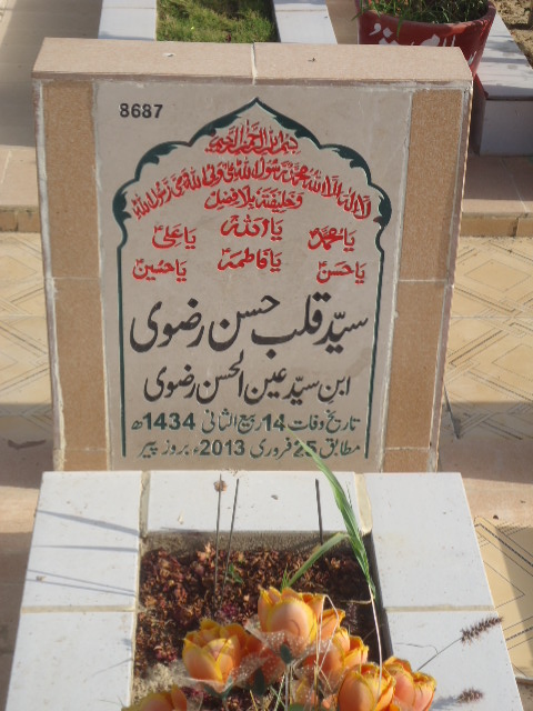 8687 – Syed Kalbay Hasan Rizvi
