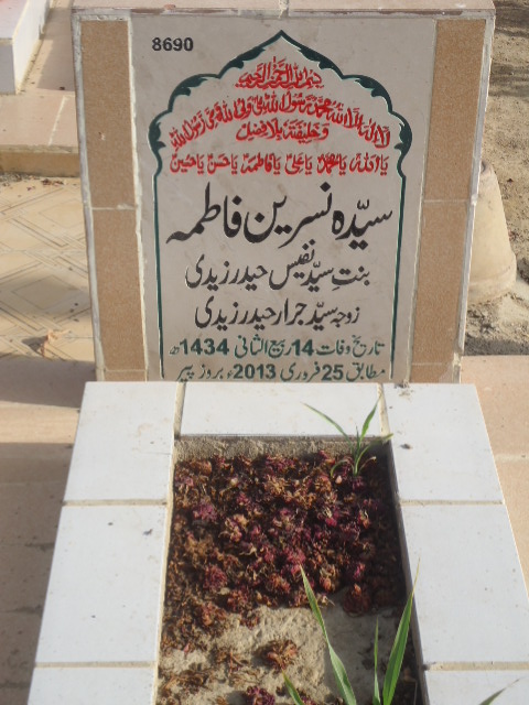 8690 – Syeda Nasreen Fatima