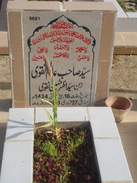 8691 – Syed Sahib Alam Naqvi