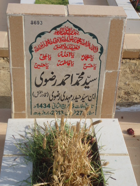 8693 – Syed Mohd Ahmed Rizvi
