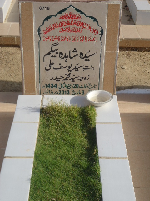 8718 – Syeda Shahida Begum