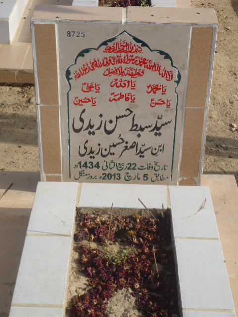 8725 – Syed Sibtay Hasan Zaidi