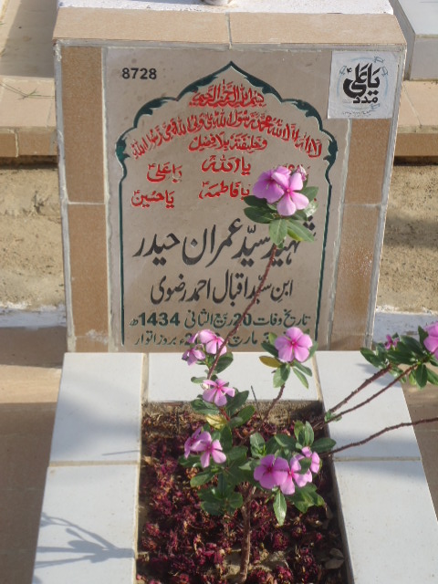 8728 – Shaheed Syed Imran Haider