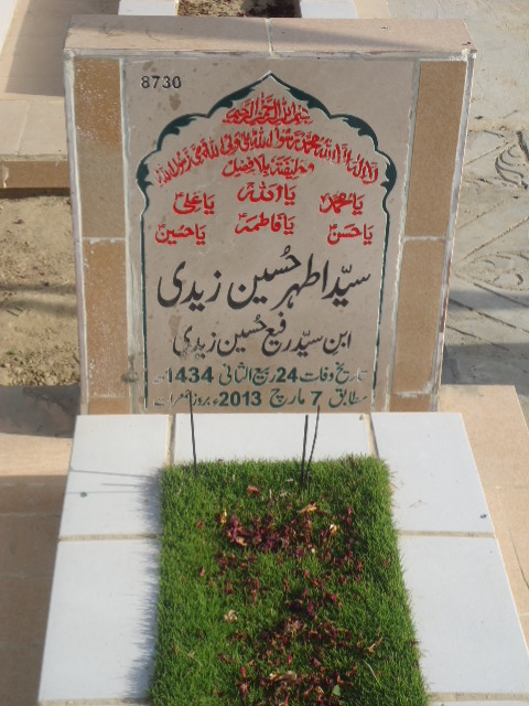 8730 – Syed Athar Hussain Zaidi