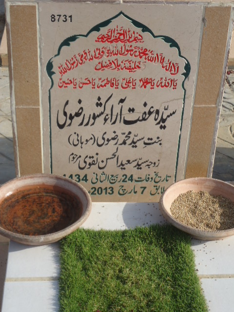 8731 – Syeda Iffat Ara Kishwar Rizvi