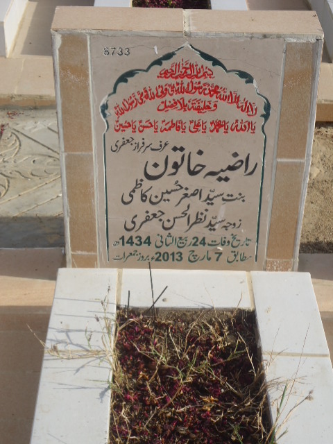 8733 – Razia Khatoon