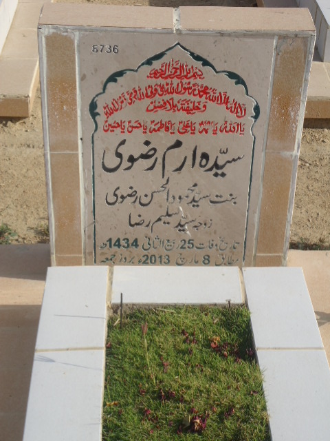 8736 – Syeda Erum Rizvi