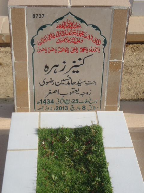 8737 – Kaneez Zehra