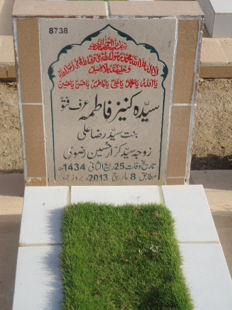 8738 – Syeda Kaneez Fatima
