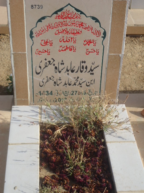 8739 – Syed Waqar Abid Shah Jaffery