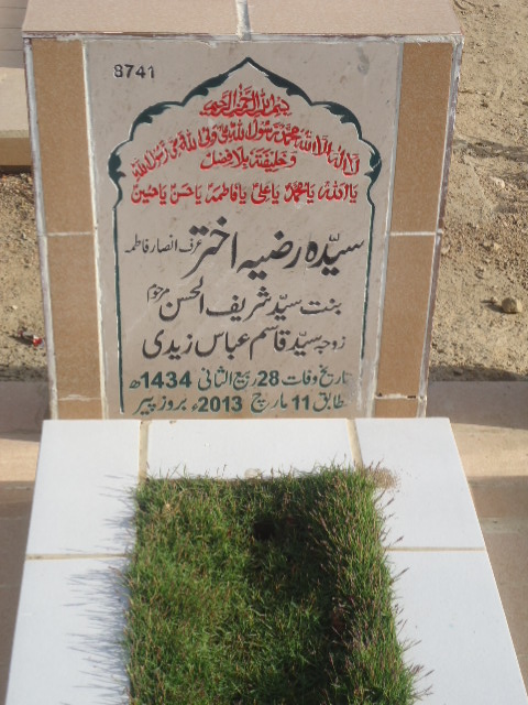 8741 – Syeda Razia Akhtar