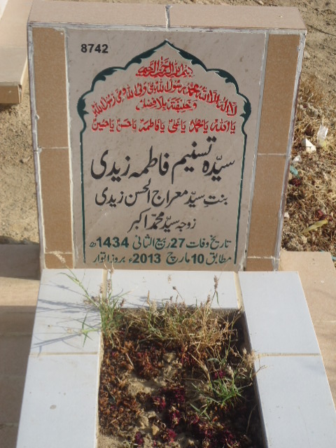 8742 – Syeda Tasneem Fatima Zaidi