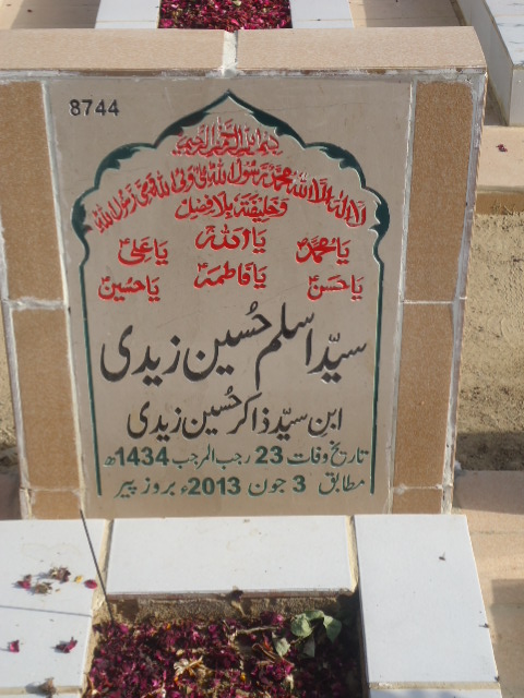 8744 – Syed Aslam Hussain Zaidi