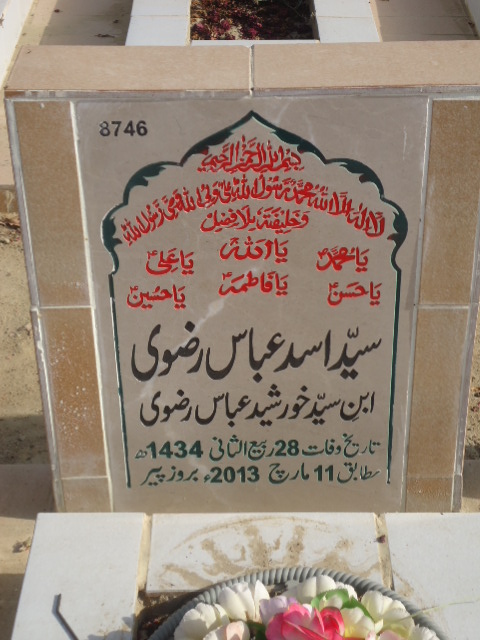 8746 – Syed Asad Abbas Rizvi