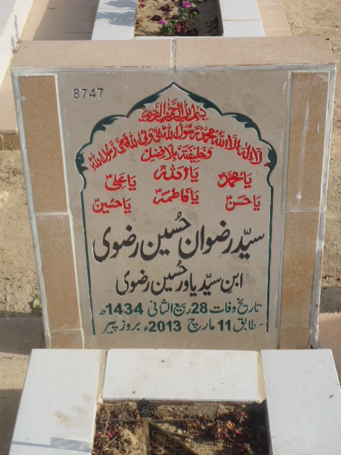 8747 – Syed Rizwan Hussain Rizvi