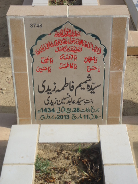 8748 – Syeda Shamim Fatima Zaidi