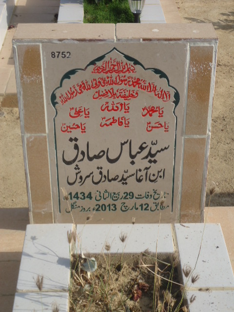 8752 – Syed Abbas Saqid
