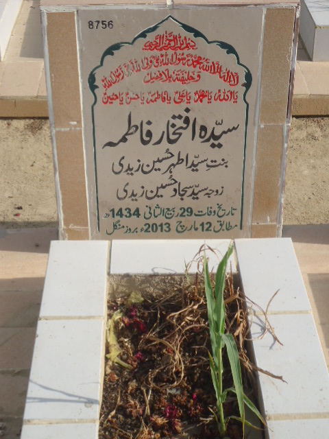 8756 – Syeda Iftikhar Fatima