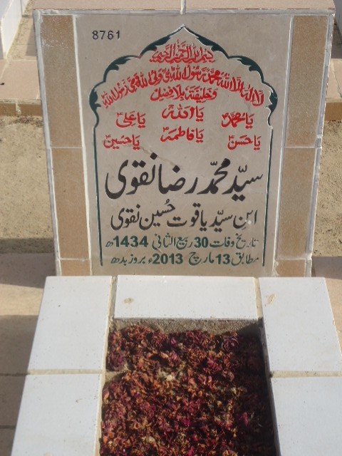 8761 – Syed Mohd Raza Naqvi
