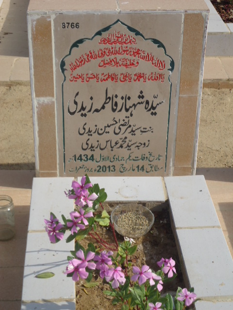 8766 – Syeda Shenaz Fatima Zaidi
