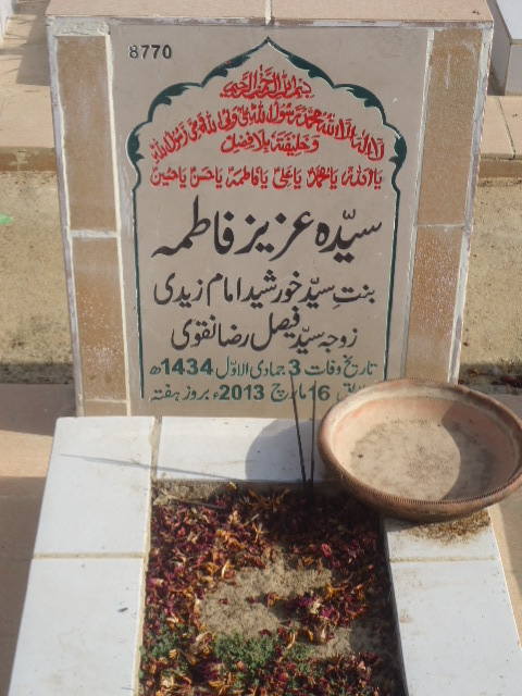 8770 – Syeda Aziz Fatima