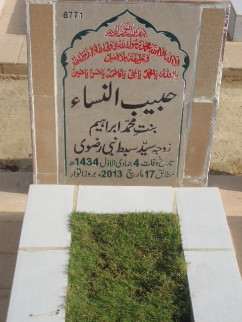 8771 – Habib Un Nisa