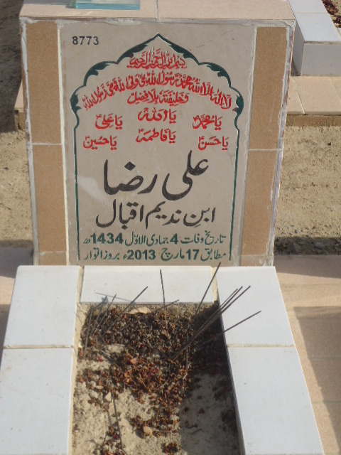 8773 – Ali Raza