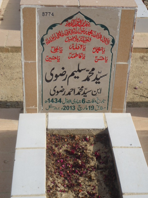 8774 – Syed Mohd Saleem Rizvi